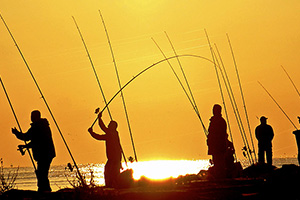 Encuesta Nacional sobre Pesca